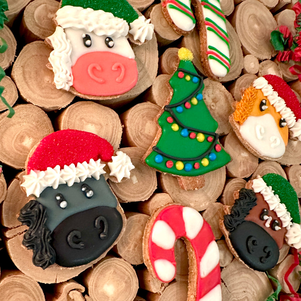 Santa Hat Ponies Holiday 7 pack