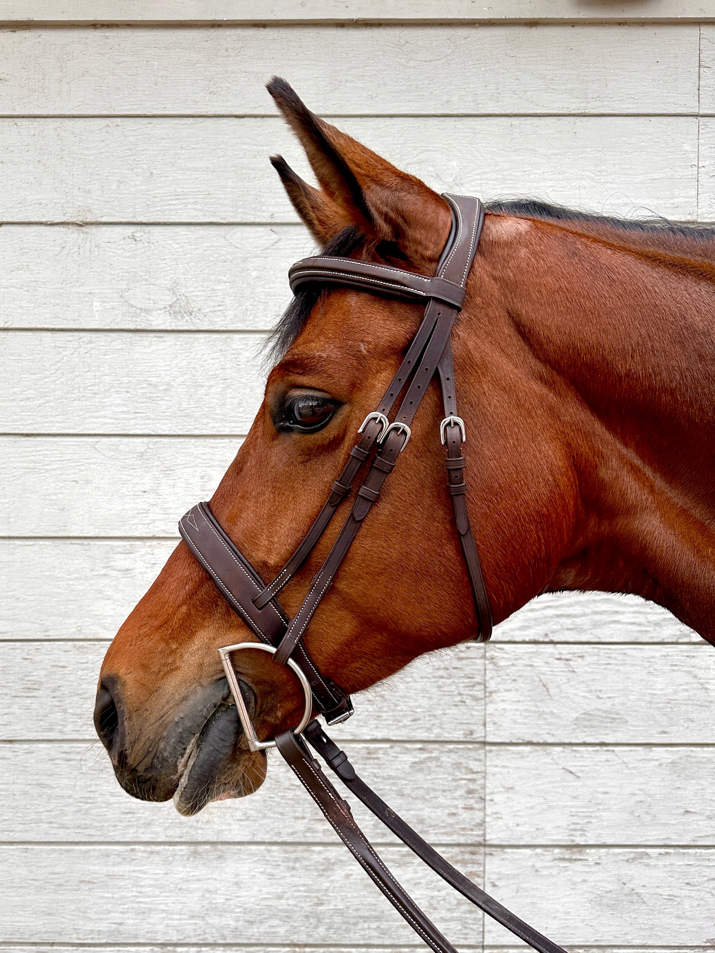 Oxford Wide Hunter Bridle