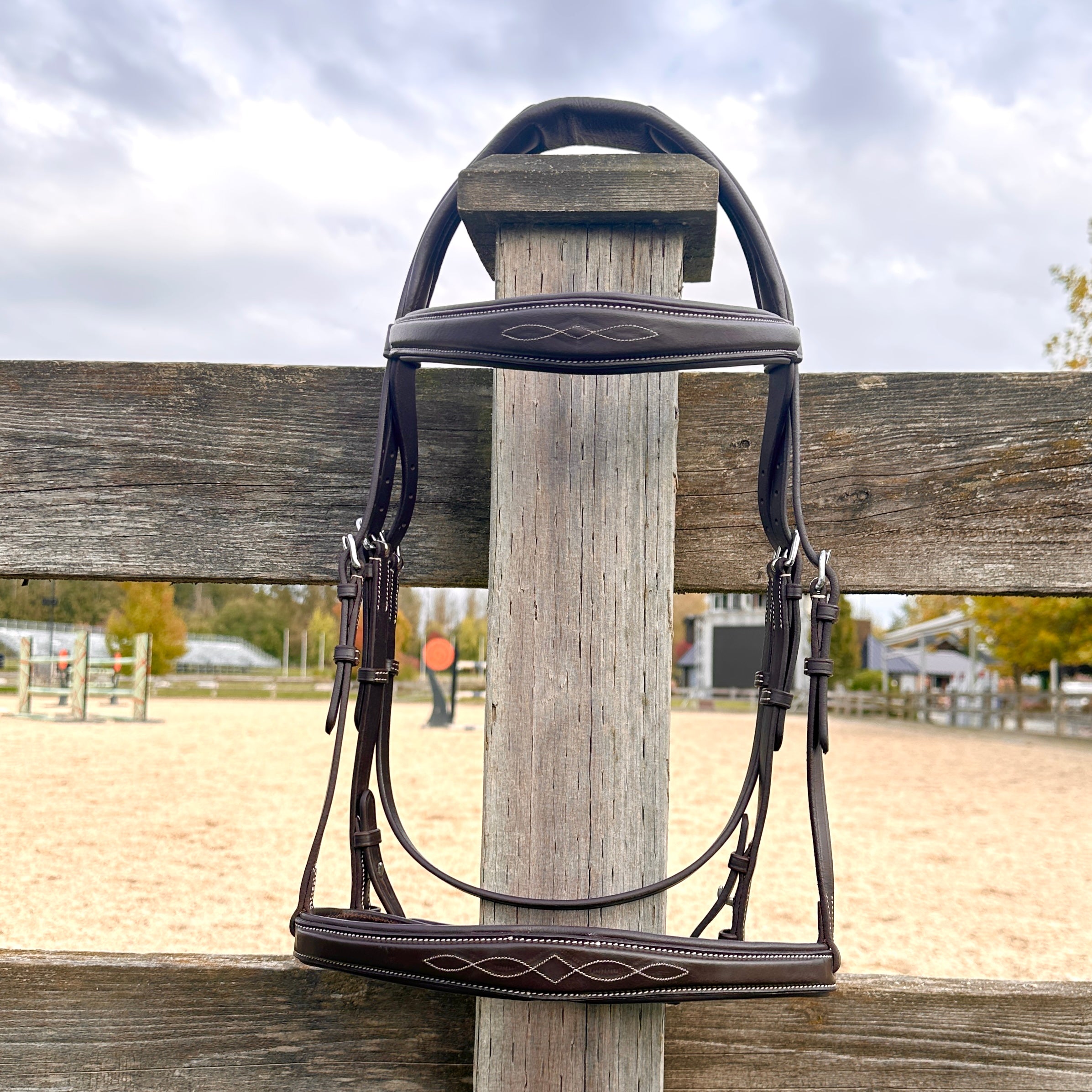 Wesley Taper Fancy Stitch Bridle  with removable flash