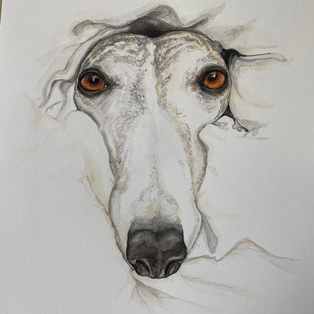 Custom Dog Portraits
