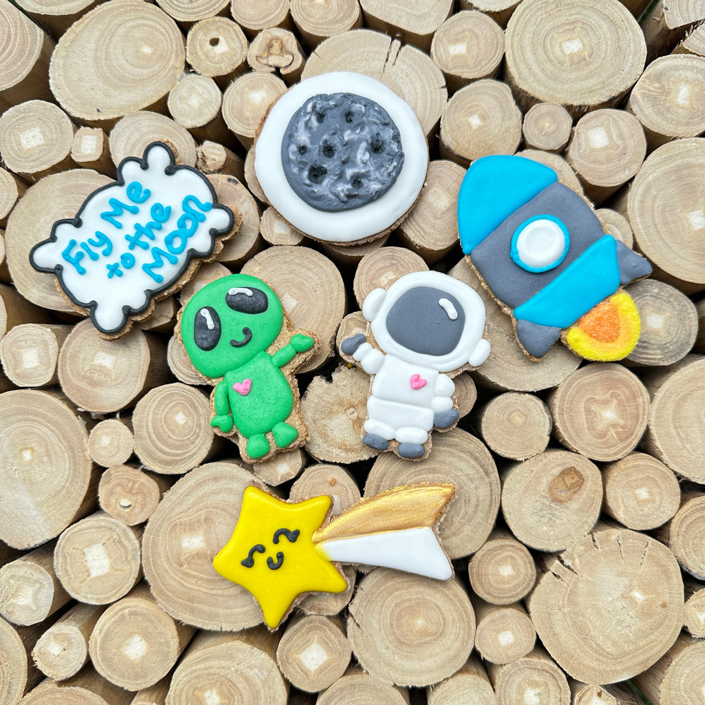 Space Friends 6 pack Horse Treats