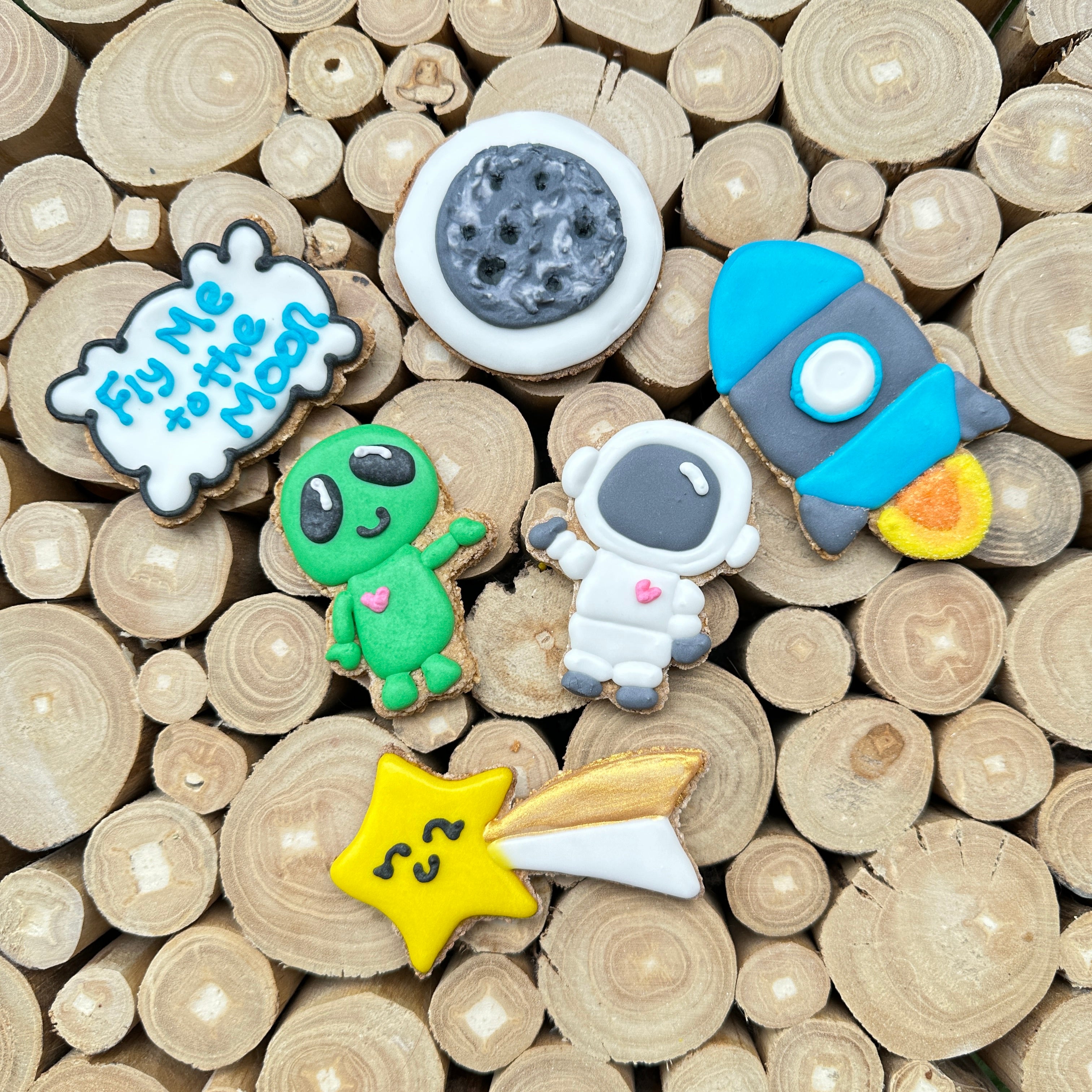 Space Friends 6 pack Horse Treats