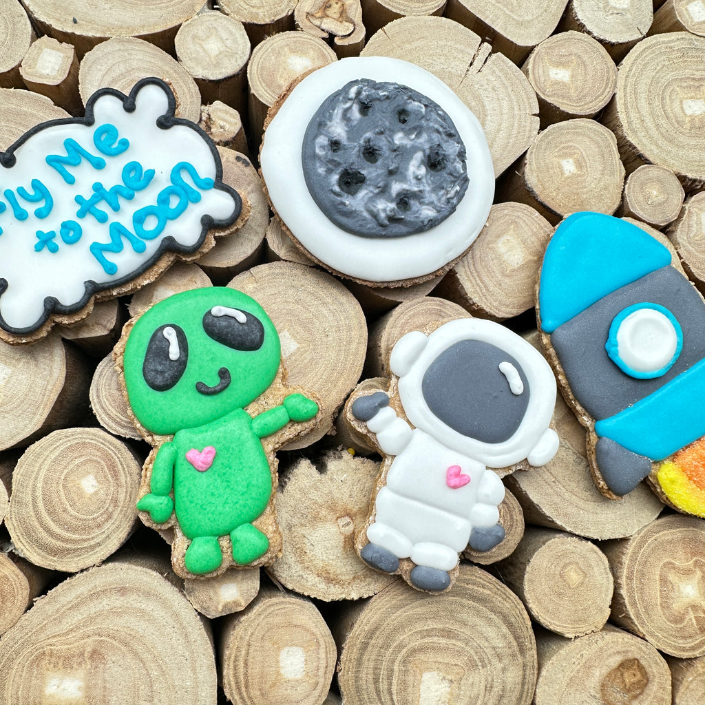 Space Friends 6 pack Horse Treats