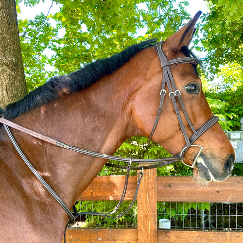 Wesley Fancy Stitch Running Martingale with Open Rings
