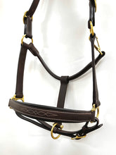 Oxford Fancy Stitch Show Halter