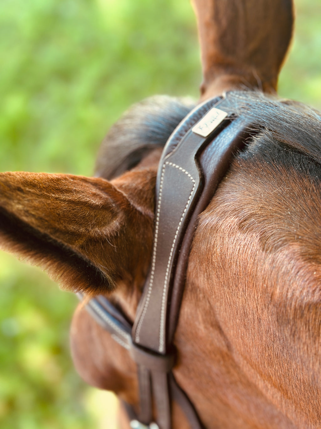 Wesley Taper Fancy Stitch Bridle