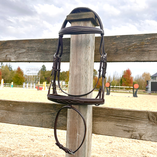 Wesley Taper Fancy Stitch Bridle  with removable flash
