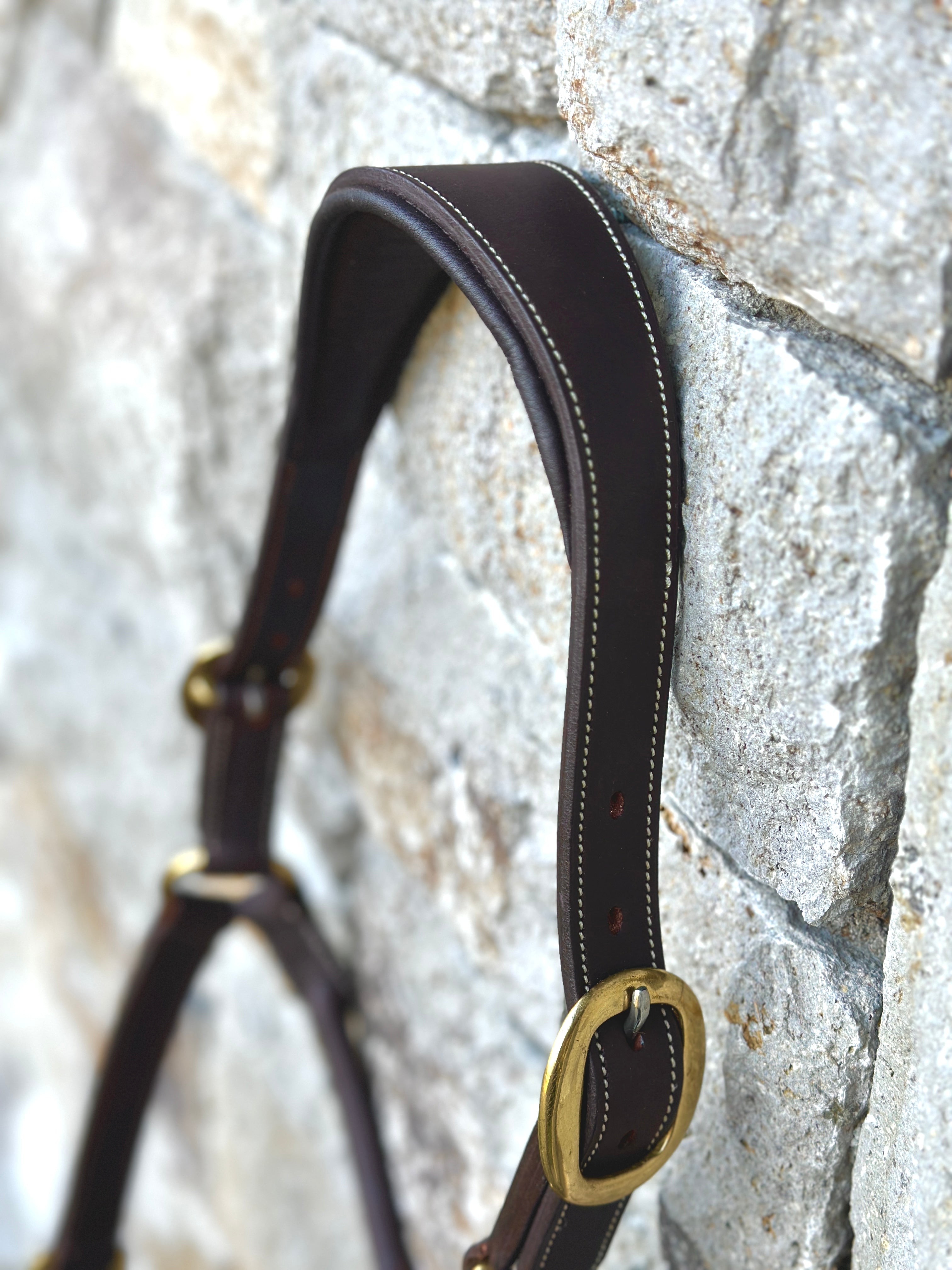 Oxford Fancy Stitch Show Halter