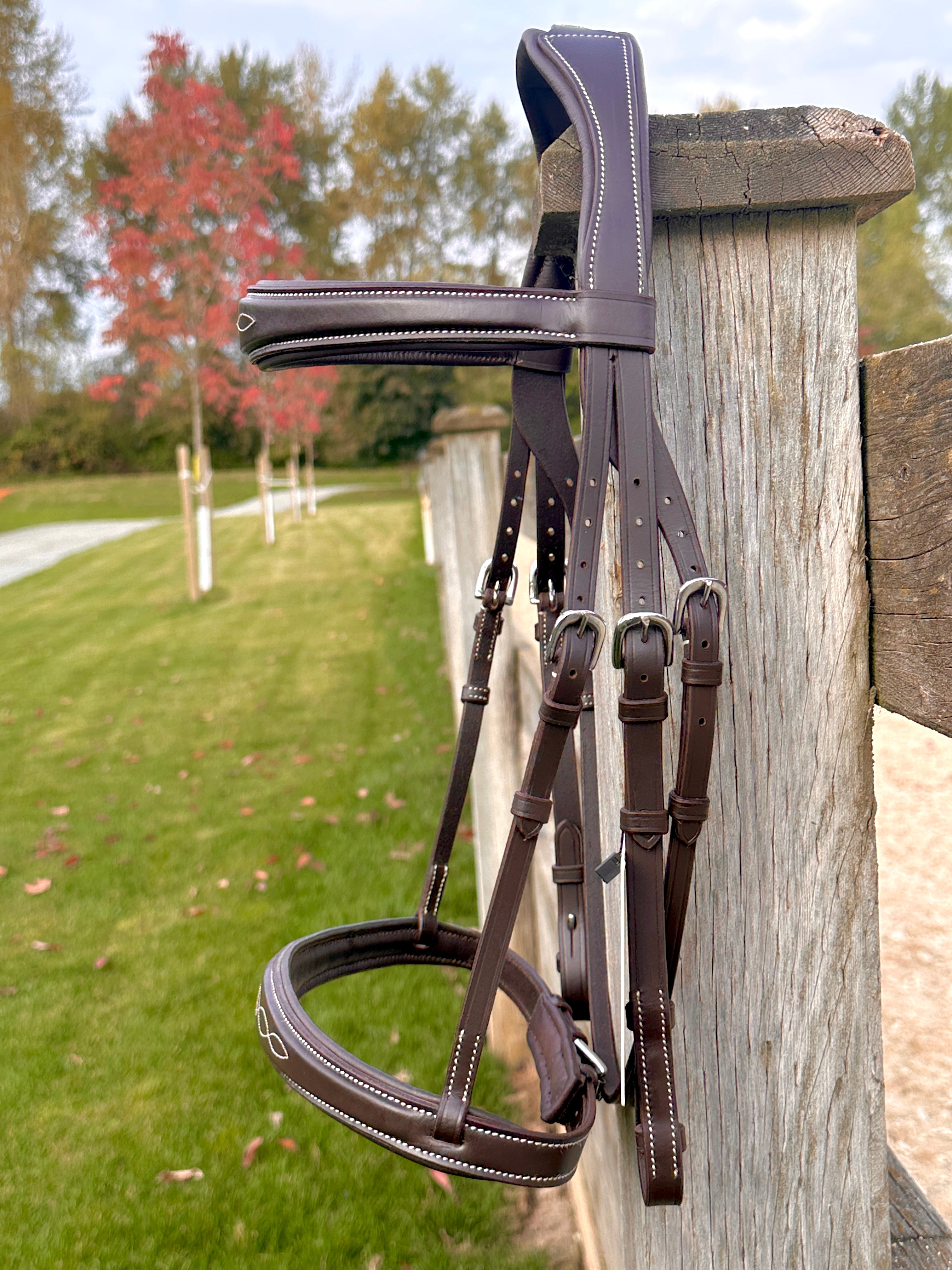 Wesley Taper Fancy Stitch Bridle