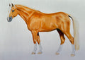 Custom Acrylic Horse Portraits on Wood Panel