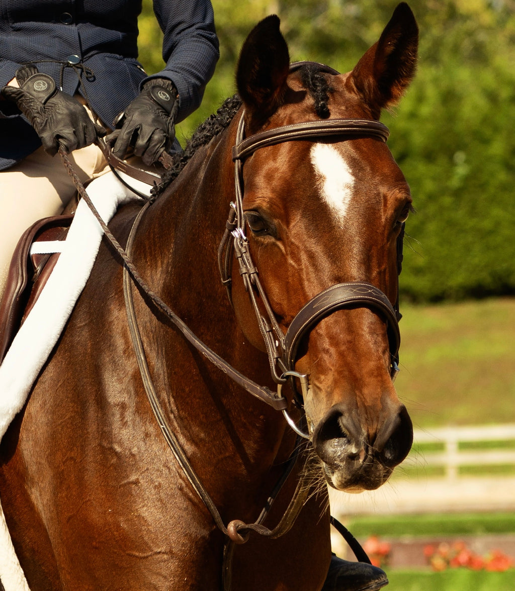 Oxford Wide Hunter Bridle
