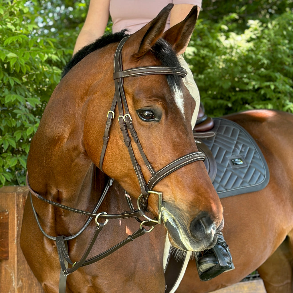 Oxford Classic Fancy Stitch Bridle