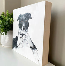 Custom Acrylic Pet Portraits on Wood Panel