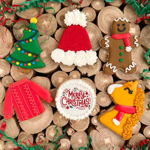 Holiday Cheer 6 pack Horse Treats