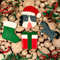 Christmas Day Large Horse Treats