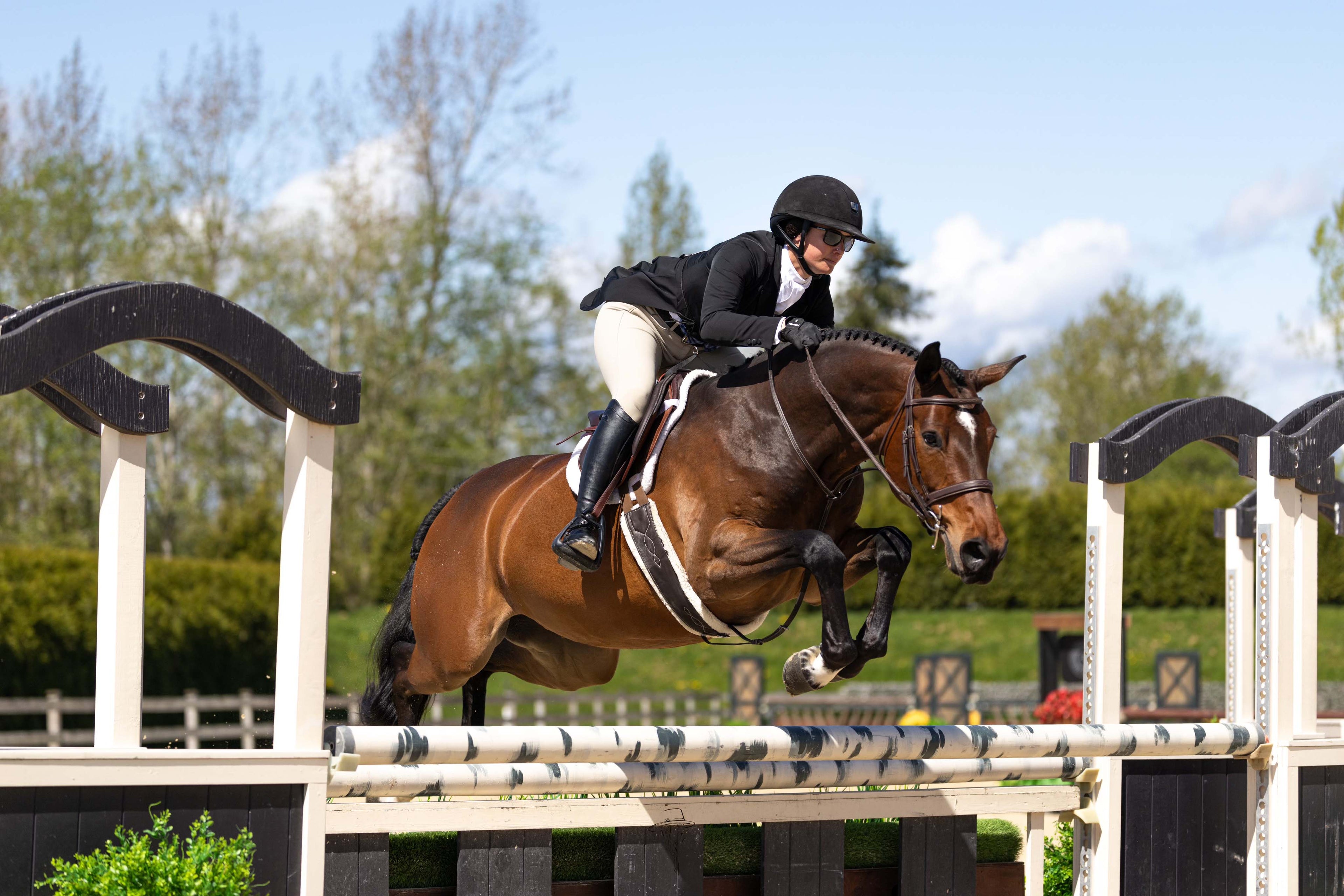 Soft Padded Pro Leather Hunter Girth with Liner Options