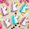 Magic Unicorn Horse Treats