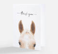 Greeting Card Mix 12 pack
