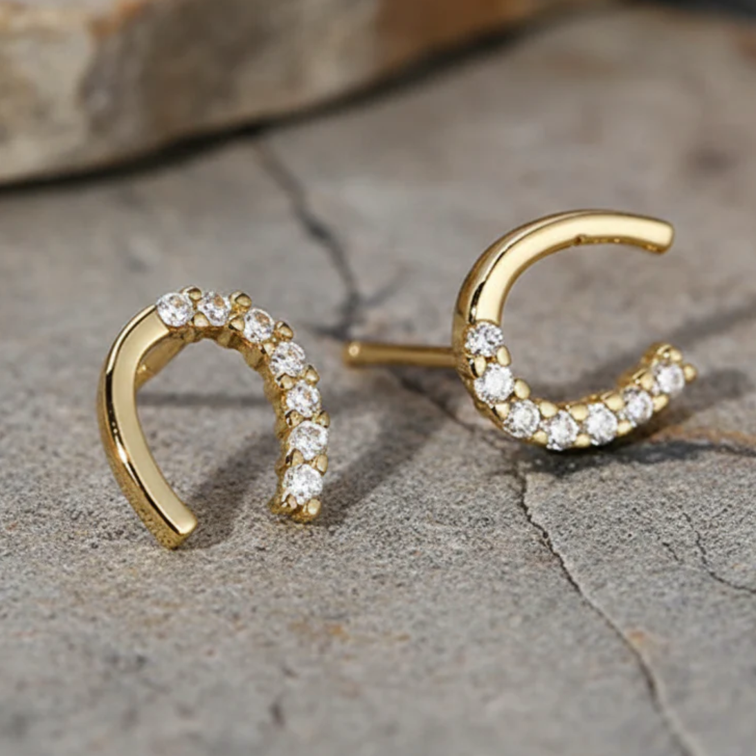 Mini Crystals Horse Shoe Earrings