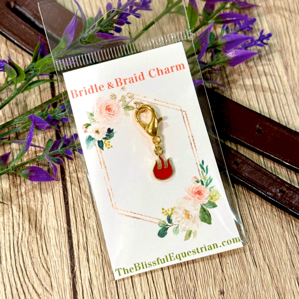 Braid & Bridle Charm