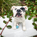 Custom Clay Dog Sculptures - Jodi